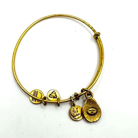 Alex and Ani Ladybug Bracelet Bangle Charm gold Casual Retro Contemporary - Picture 3 of 5